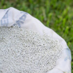 360_F_615259940_8GtqoGa1VfsPKqMbmDVNotuIcaiIo701